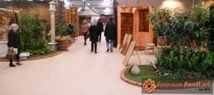 Salone petra modenantiquaria 20115