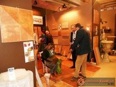 Salone petra modenantiquaria 20118