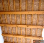 Visualizza album foto:&nbsp;tavella gialla (5&nbsp;)