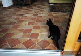 Visualizza album foto:&nbsp;Restauro in Villa a Piove di Sacco (PD) (35&nbsp;)